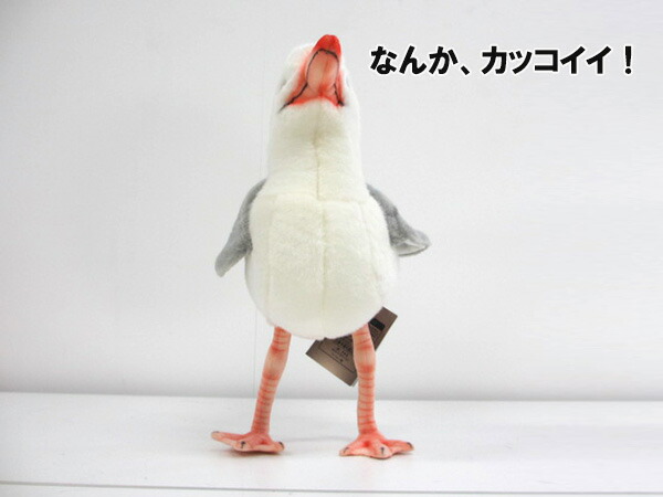 楽天市場】カモメ 7259 ハンサ hansa かもめ seagull herring 鳥 とり