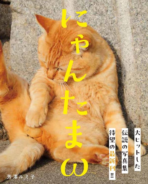 楽天ブックス: にゃんたまω - 芳澤 ルミ子 - 9784065371763 : 本