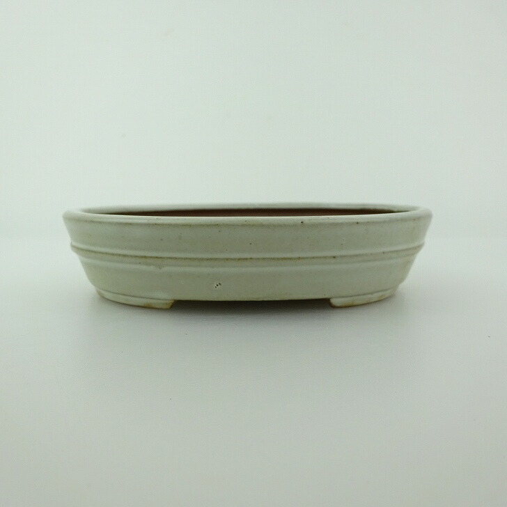 楽天市場】月香 盆栽鉢の通販