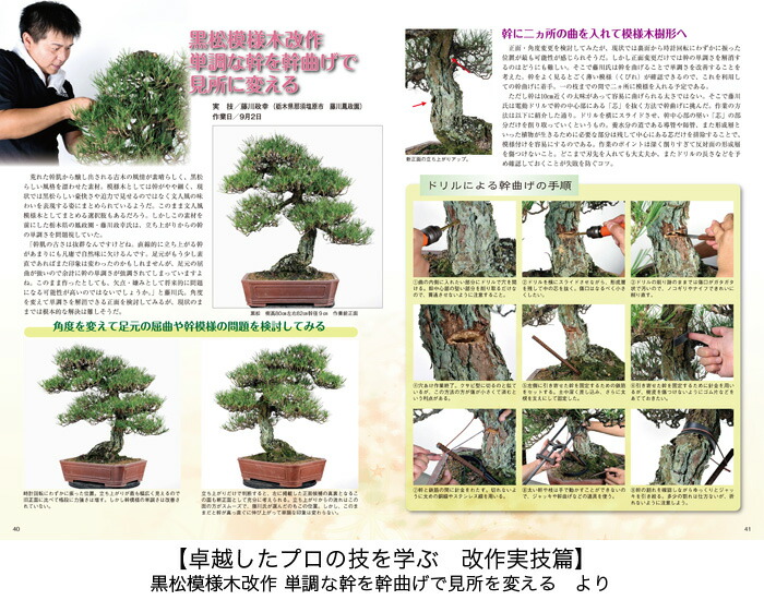 楽天市場】【送料無料】 盆栽 専門誌 匠の技 盆栽技術集 改作 実技