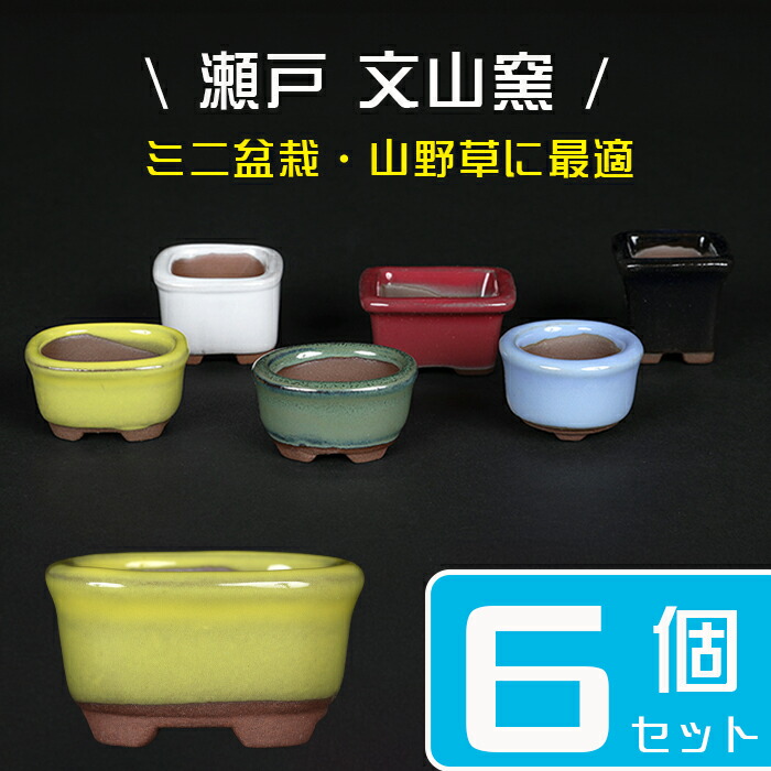 楽天市場】盆栽鉢 「瀬戸焼文山窯色豆鉢6点セット」 植木鉢 色鉢 豆鉢