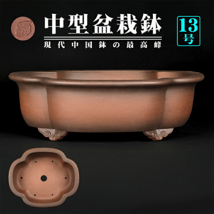 鉢 13号 盆栽鉢」の人気商品一覧 | 安い商品を通販サイトから探す