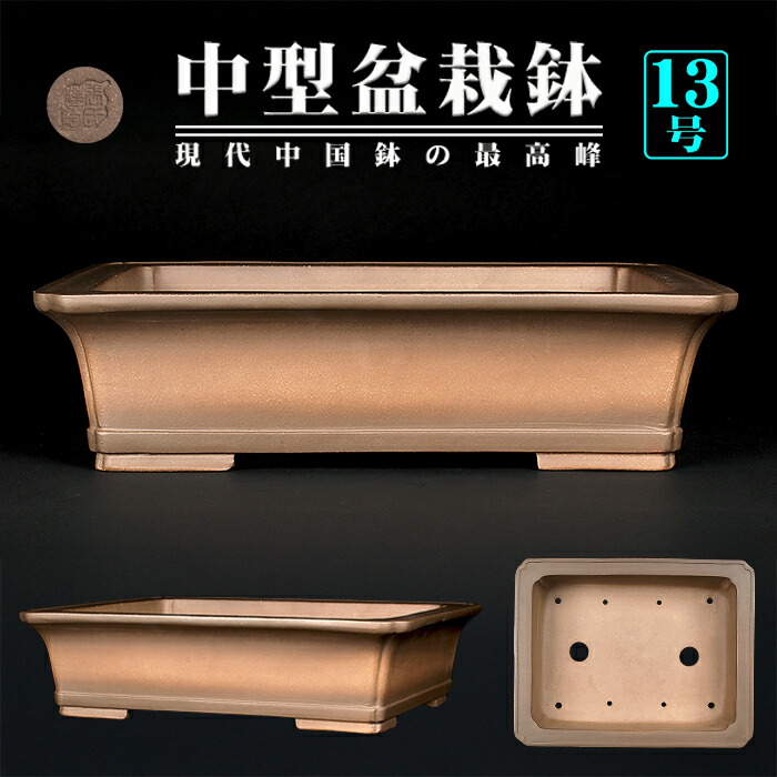 鉢 13号 盆栽鉢」の人気商品一覧 | 安い商品を通販サイトから探す