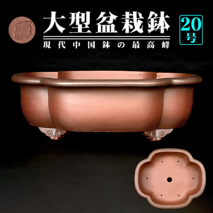 盆栽鉢 大型」の人気商品一覧 | 安い商品を通販サイトから探す - 価格.com