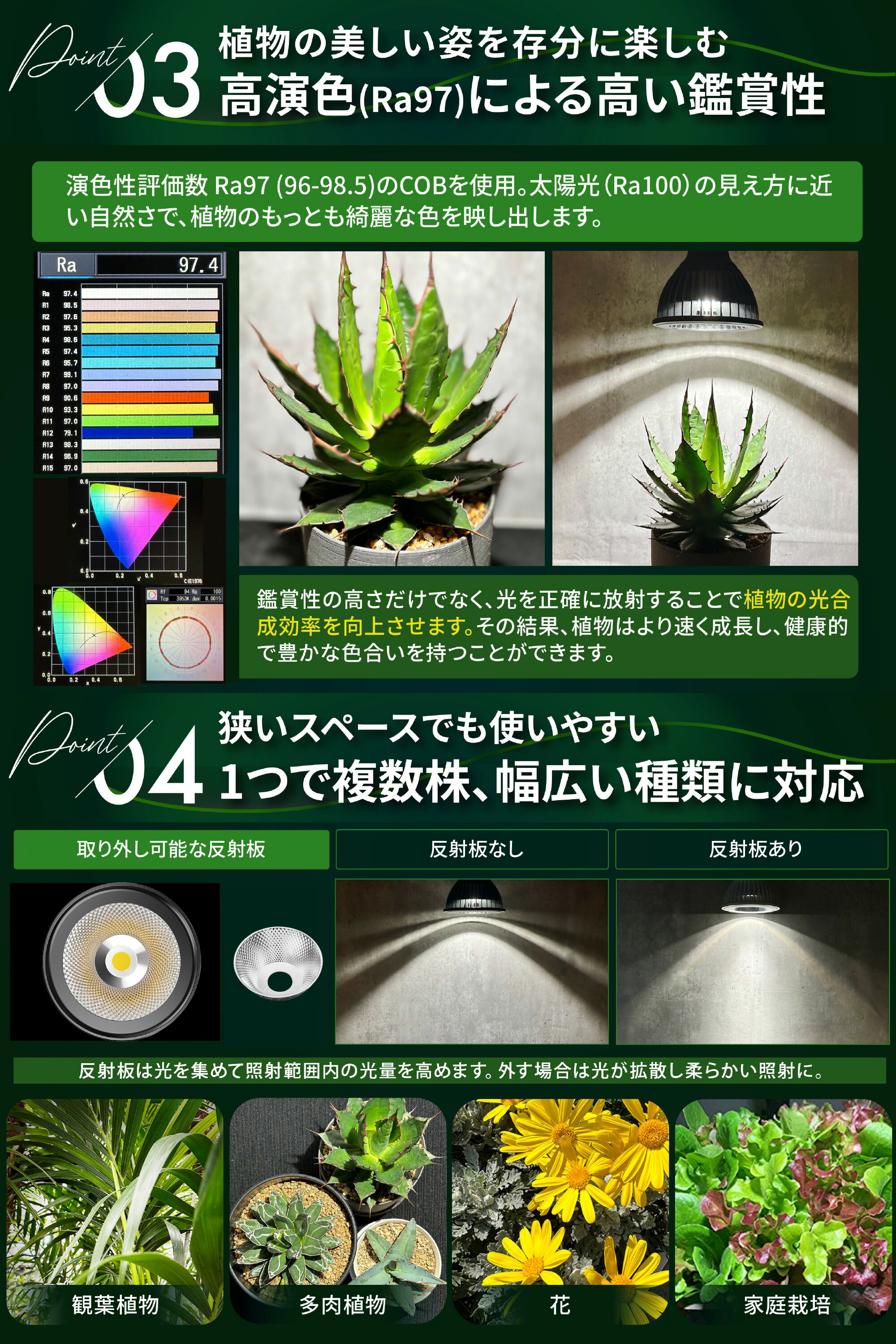 楽天市場】BRIM(ブリム) 公式店 グリーンアドバイザー推薦 BRIM(ブリム