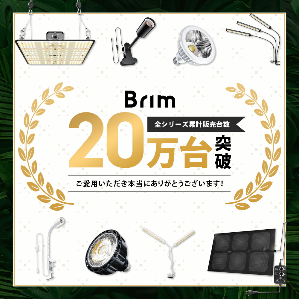 楽天市場】BRIM(ブリム) 公式店 楽天ランキング1位獲得【2枚セット