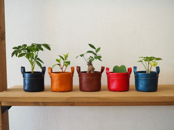 楽天市場】レザー 鉢カバー ミニサイズ 2号 ヌメ革 観葉植物 花