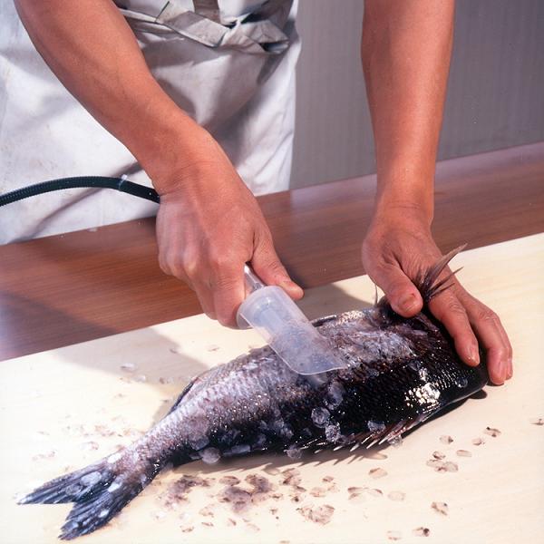 楽天市場】ホクト うろこ取り名人 HS-10R ハンディタイプ電動うろこ