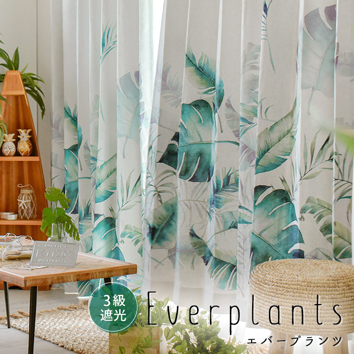 楽天市場】カーテン エバープランツ グリーン 遮光カーテン ボタニカル