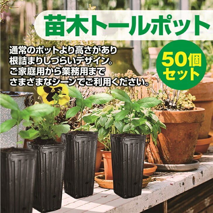 楽天市場】【送料無料】 苗ポット 育苗ポット 深型 ロングポット