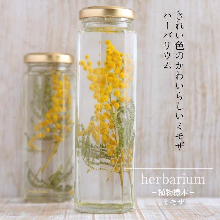 楽天市場】送料無料【herbarium Bottle】ハーバリウムボトル八角ボトル