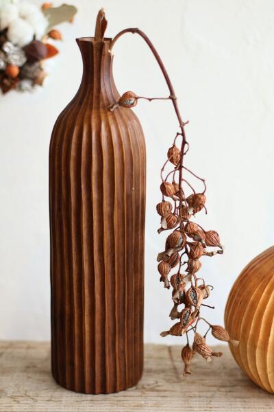 楽天市場】月桃の実【 ゲットウ 】【種】【月桃の種子】【げっとう