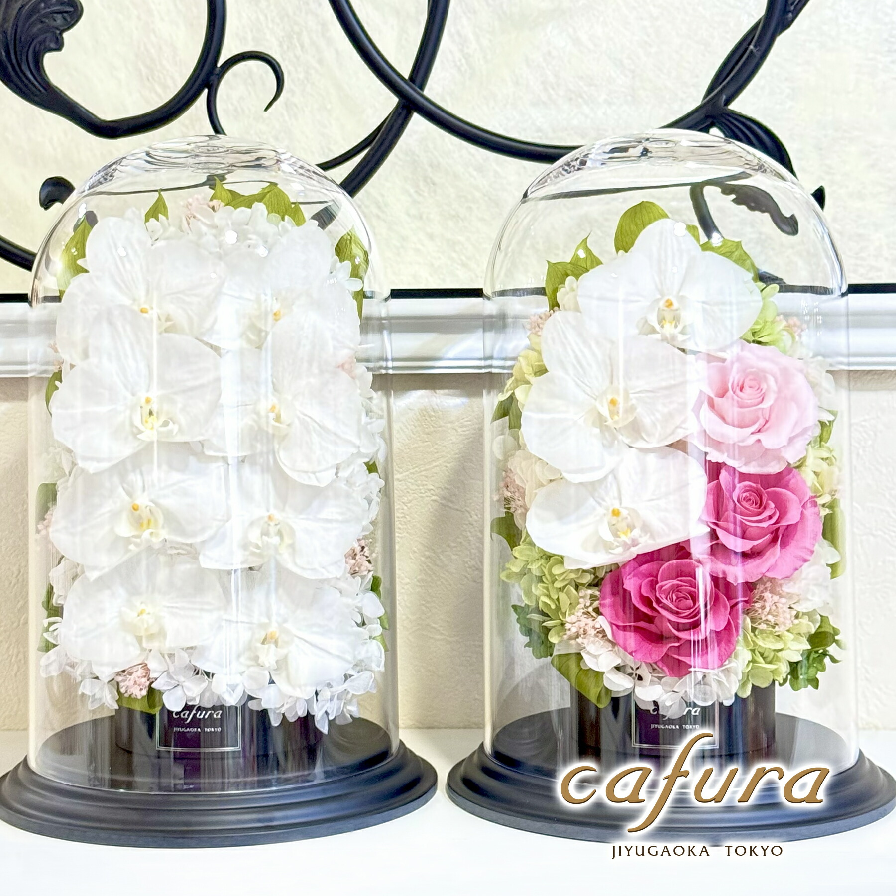 楽天市場】プリザーブドフラワー 胡蝶蘭 花 ガラスドーム 花 お供え