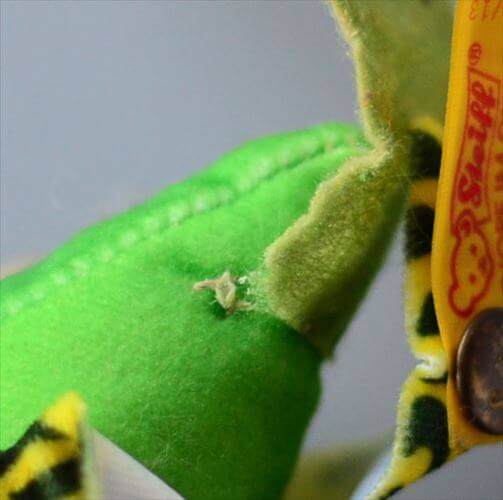 楽天市場】【送料無料】ドイツ製 Steiff Hansi セキセイインコ