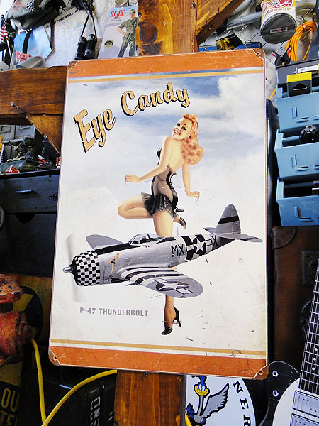 楽天市場】ピンナップガール ＆ 戦闘機 U.S.ヘヴィースチールサイン