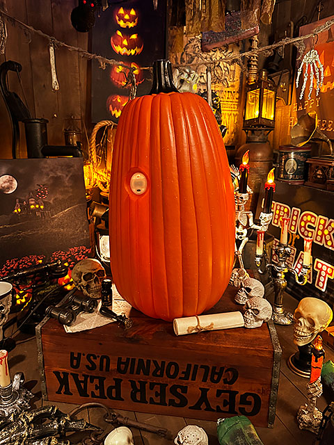 楽天市場】【即納】【在庫あり】パンプキンランタン ロング 56cm （L