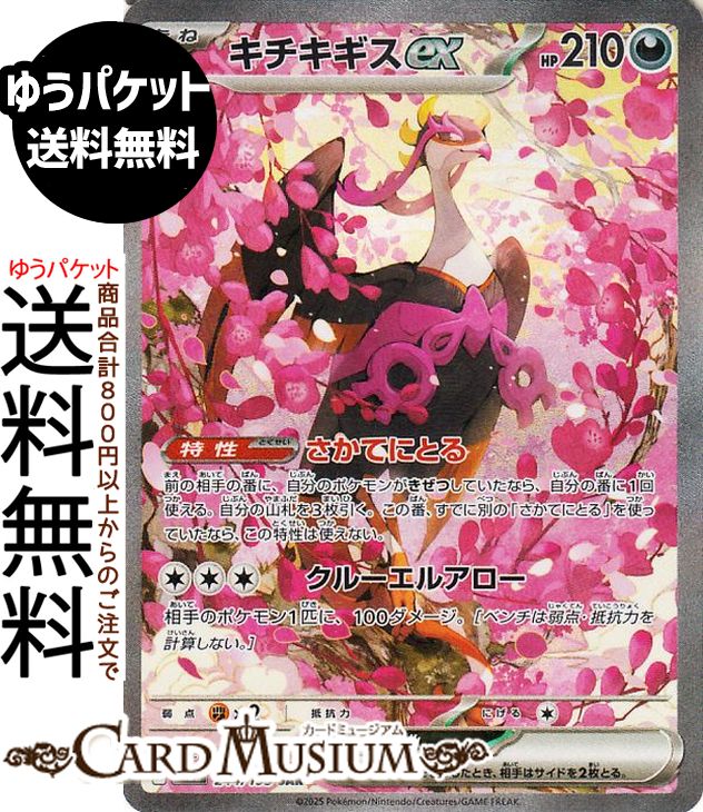 キチキギスex SAR」の人気商品一覧 | 安い商品を通販サイトから探す