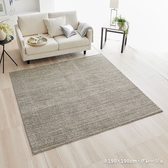 楽天市場】ラグ エクリュ 130×190 cm 洗える 日本製 スミノエ製 防ダニ
