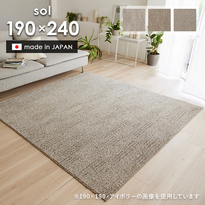 楽天市場】ラグ ソル 190×240 cm 洗える 日本製 スミノエ製 防ダニ