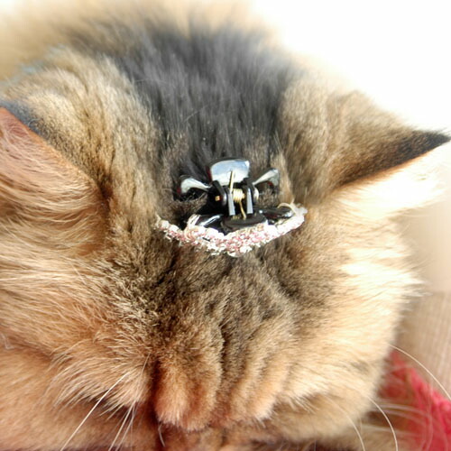 楽天市場】マロンの 猫用ティアラ 猫グッズ 雑貨 プレゼント 【ペット