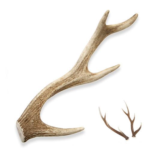 鹿の角 24本(12対) まとめ売り 鹿の角 24本(12対)