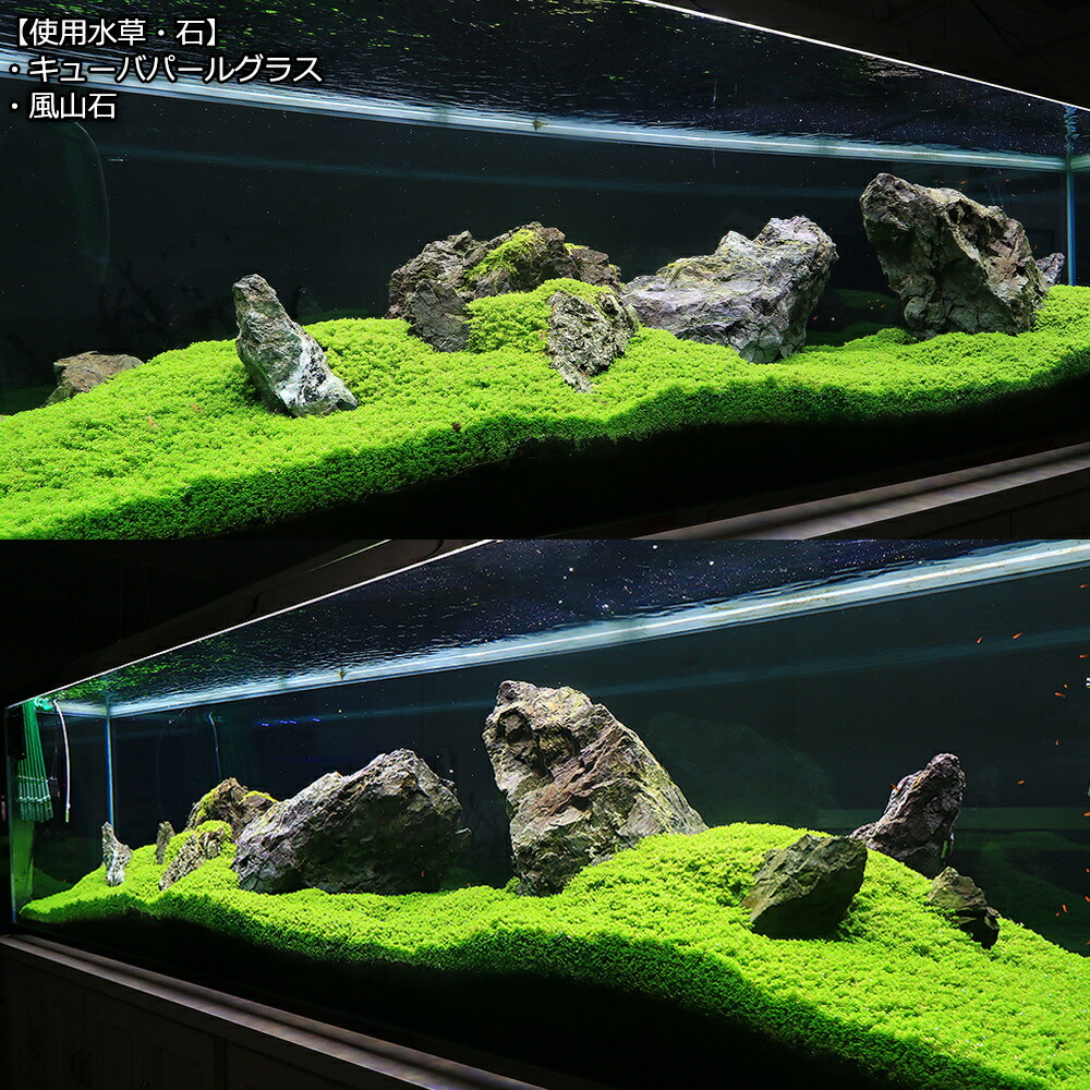 楽天市場】形状お任せ 風山石 サイズミックス 3kg 国産品 30cm