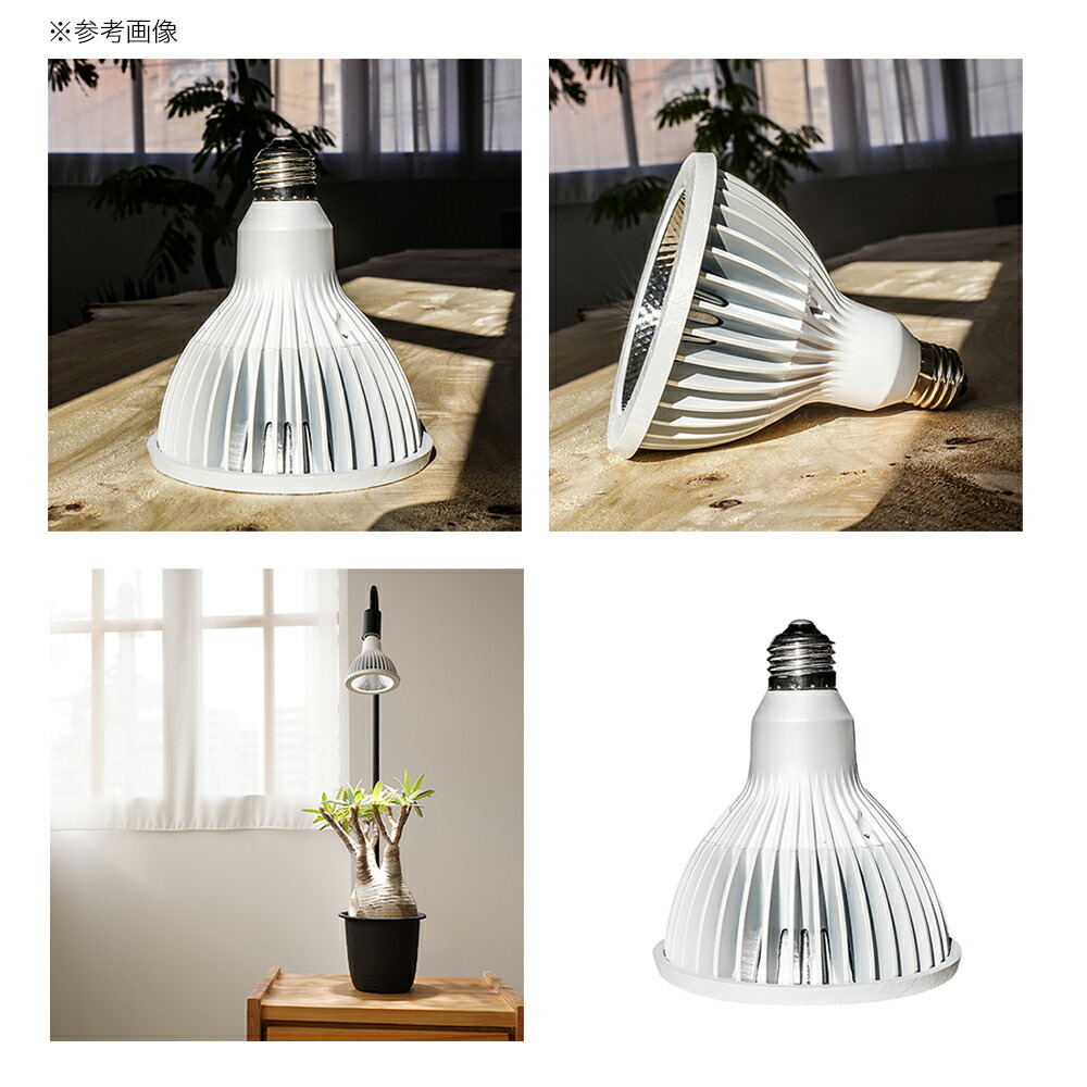 楽天市場】NEO TSUKUYOMI ネオツクヨミ LED 20W