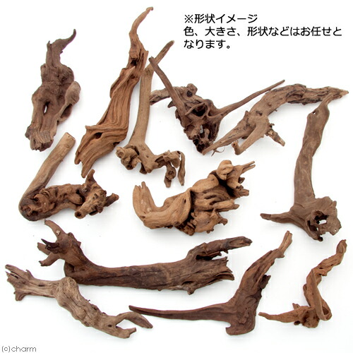 楽天市場】形状お任せ 煮込み済み 上質流木 雅 サイズミックス（約25