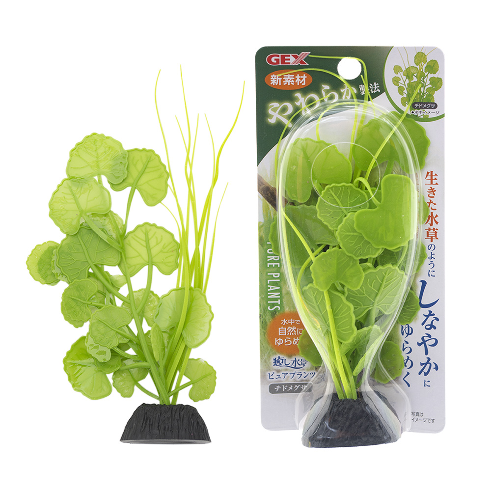 楽天市場】GEX 癒し水景 ピュアプランツ チドメグサ 人工水草 関東
