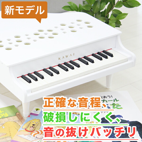 楽天市場】【在庫有 13時迄即日発送可 最短翌日配達】【購入特典有