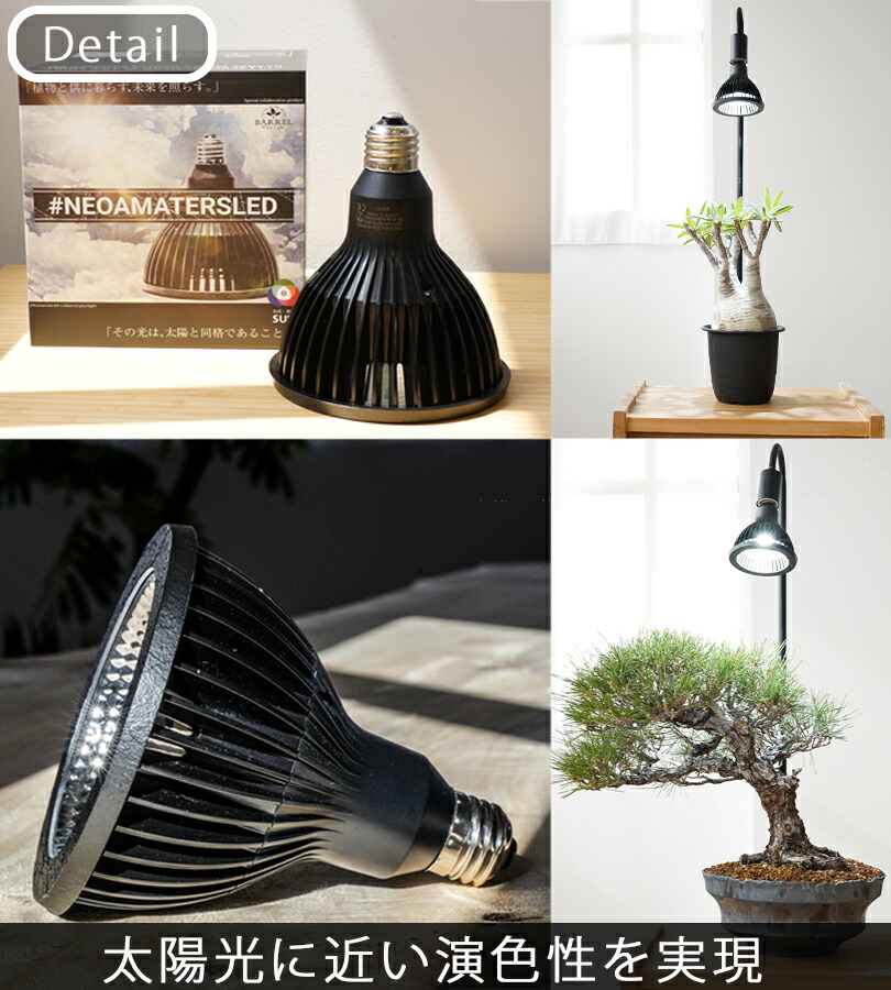 楽天市場】【マラソン限定クーポンで500円OFF!】NEO AMATERAS LED 20W