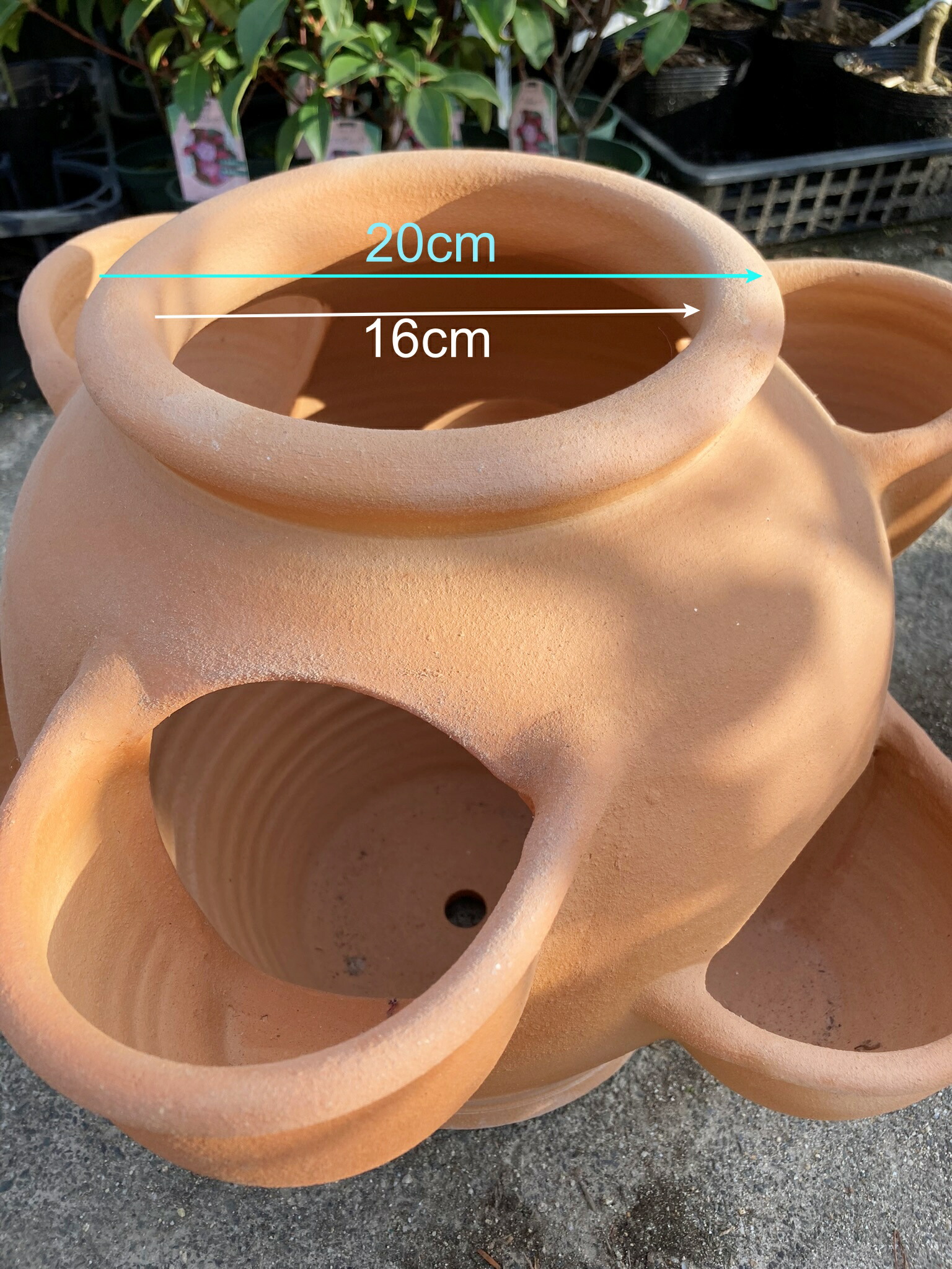 楽天市場】ストロベリーポットL 素焼き（テラコッタ）大鉢 : 千草園芸