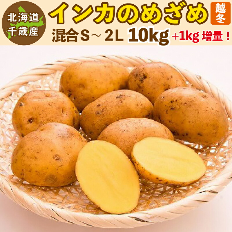 インカのめざめ 10kg」の人気商品一覧 | 安い商品を通販サイトから探す
