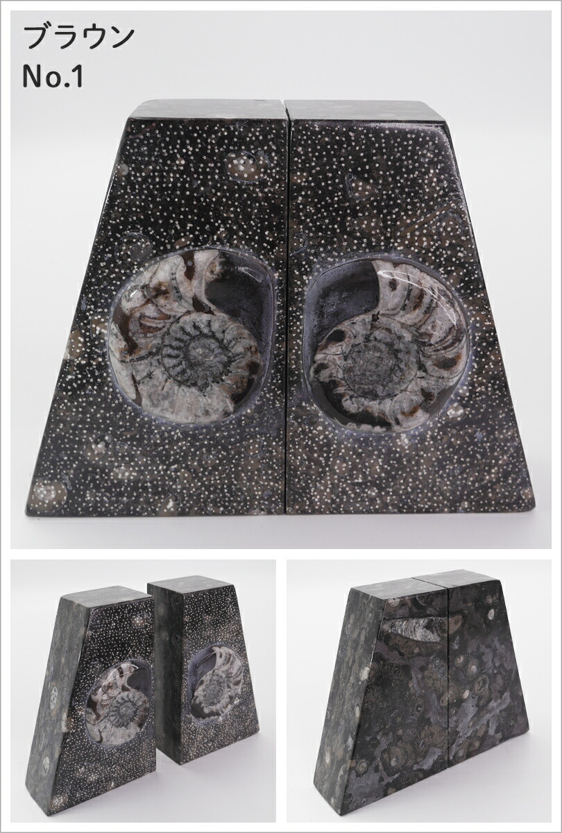 楽天市場】Lサイズ アンモナイト【化石ブックエンド】大理石 ブック