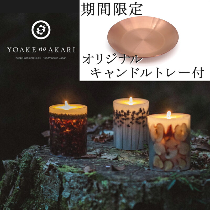 楽天市場】【期間限定！オリジナルトレー付】ボタニカル キャンドル