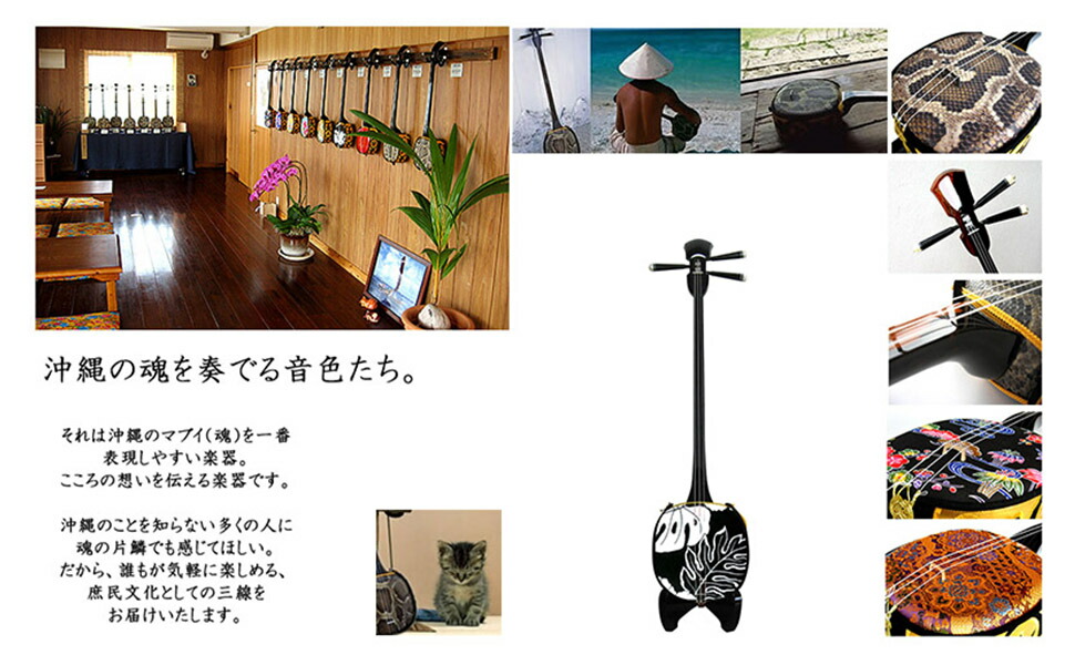 楽天市場】【三線】沖縄三線 琉球トライアル 初心者応援27点セット