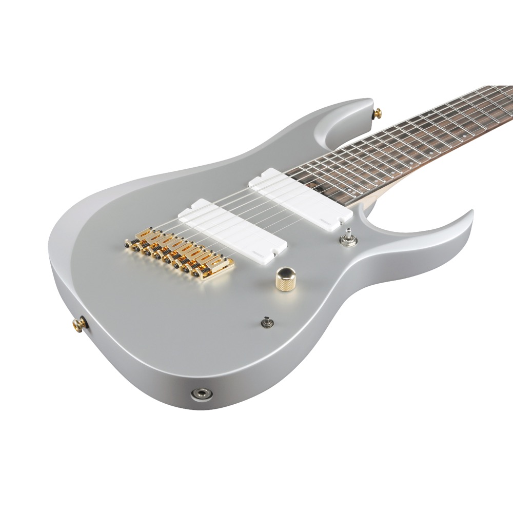 楽天市場】IBANEZ RGDMS8-CSM Axe Design Lab Classic Silver Mat 8弦