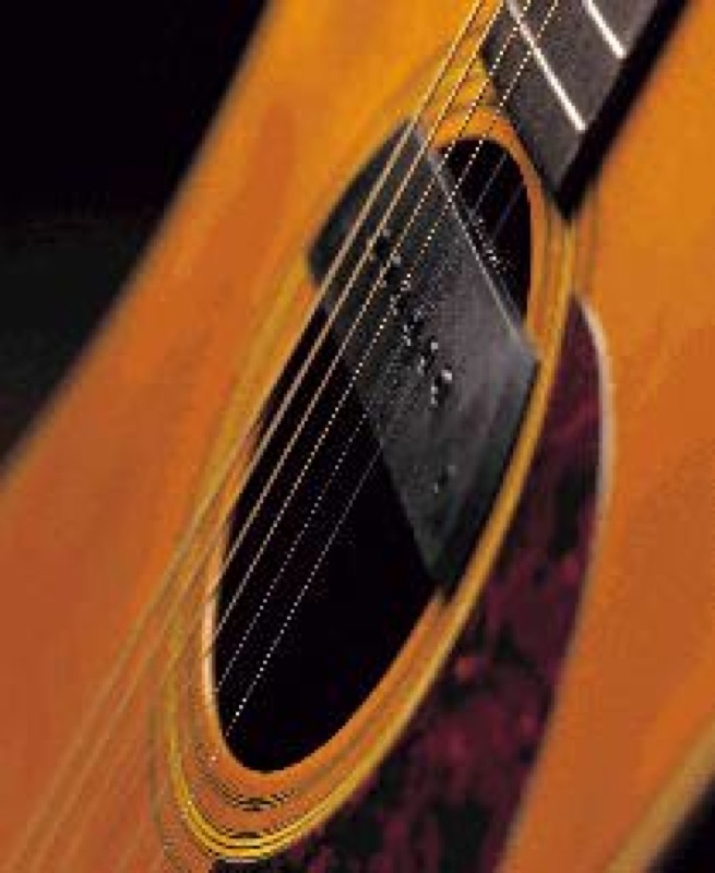 楽天市場】SUNRISE S-2 アコースティックギター用ピックアップ : chuya