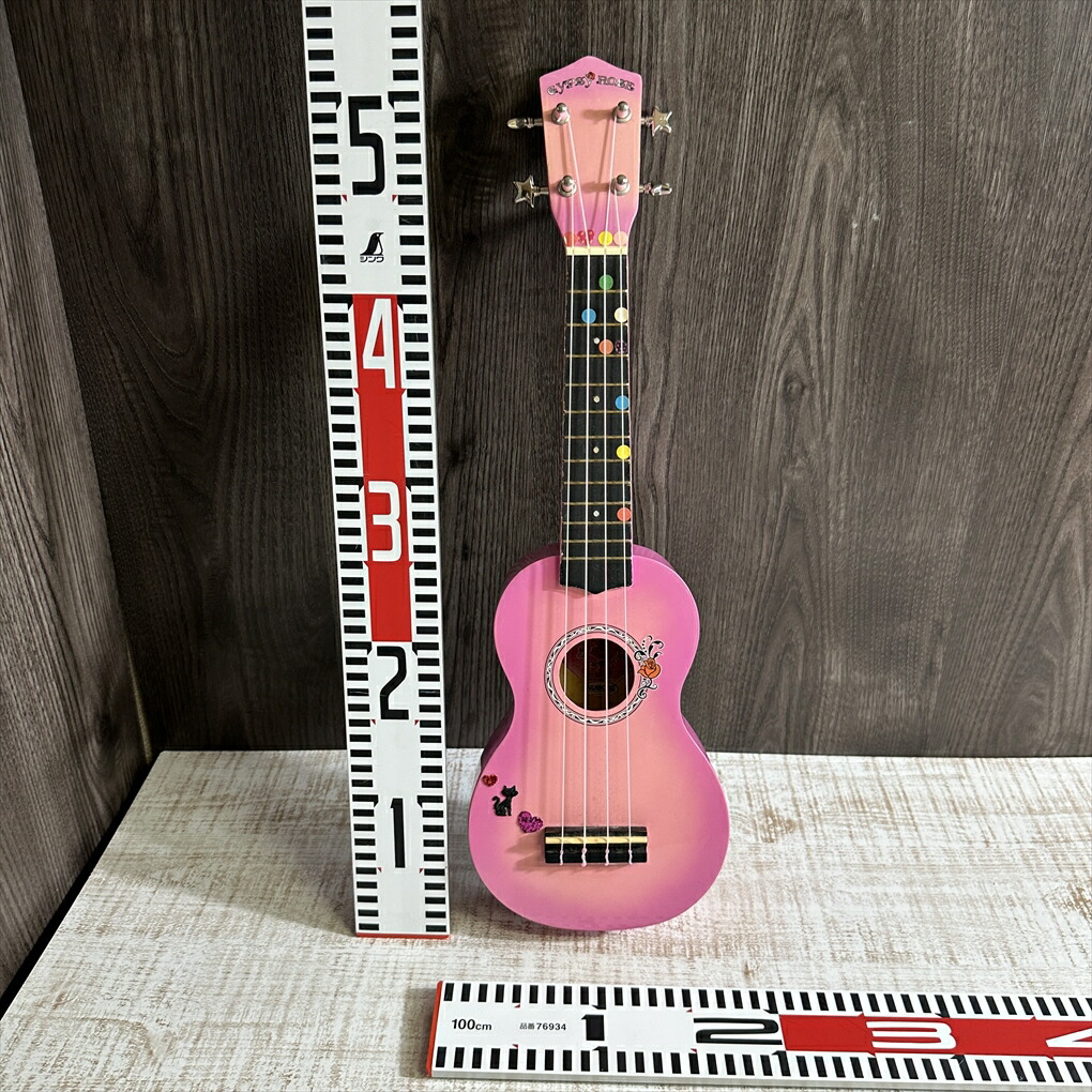 楽天市場】ジプシーローズ アコースティックギターの通販