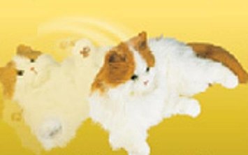 楽天市場】夢ねこ ヴィーナス セガトイズ : クロソイド屋 楽天市場店