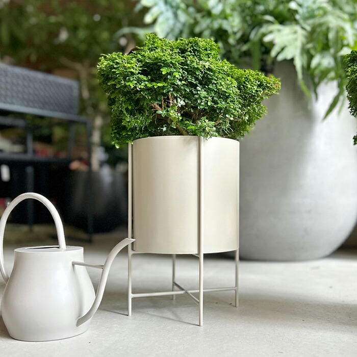 Wallace】オーバルのティーセンター ティー / ポットスタンド 22cm