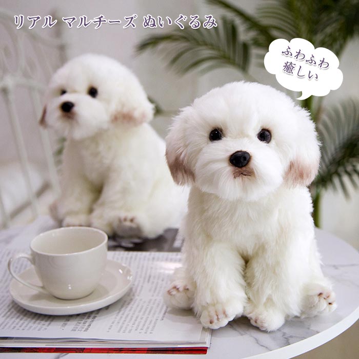 楽天市場】ぬいぐるみシ ミュレーション マルチーズ 犬 マルタ子 犬