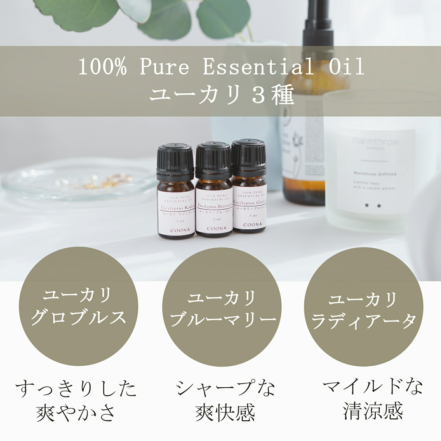 楽天市場】ユーカリ 3種 アロマ セット 精油 アロマオイル