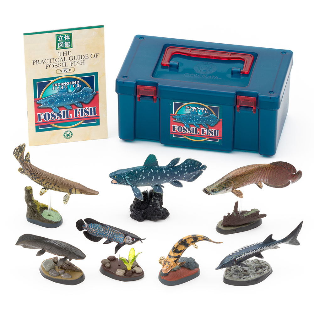 楽天市場】動物 リアル フィギュア 立体図鑑フォッシルフィッシュ