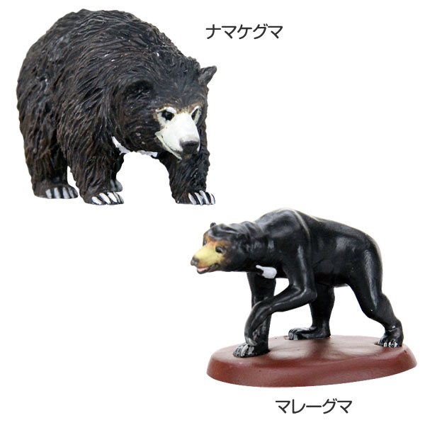 楽天市場】クマ 動物 リアル フィギュア 立体図鑑 ワイルドベアー