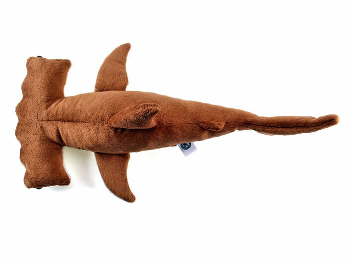 楽天市場】サメ ぬいぐるみ アカシュモクザメ Mサイズ | リアル 魚