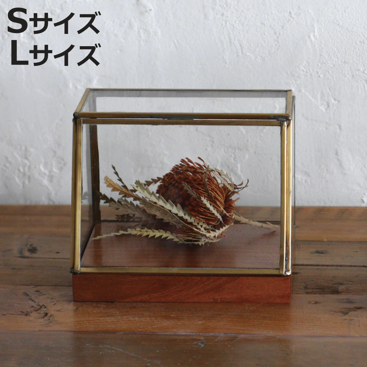 アイアン ショーケース」の人気商品一覧 | 安い商品を通販サイトから