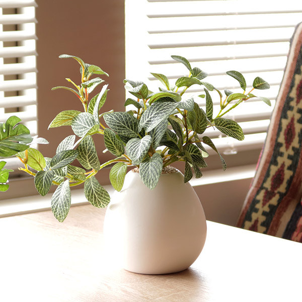 楽天市場】人工観葉植物 フィットニア 18cm フェイクグリーン 造花