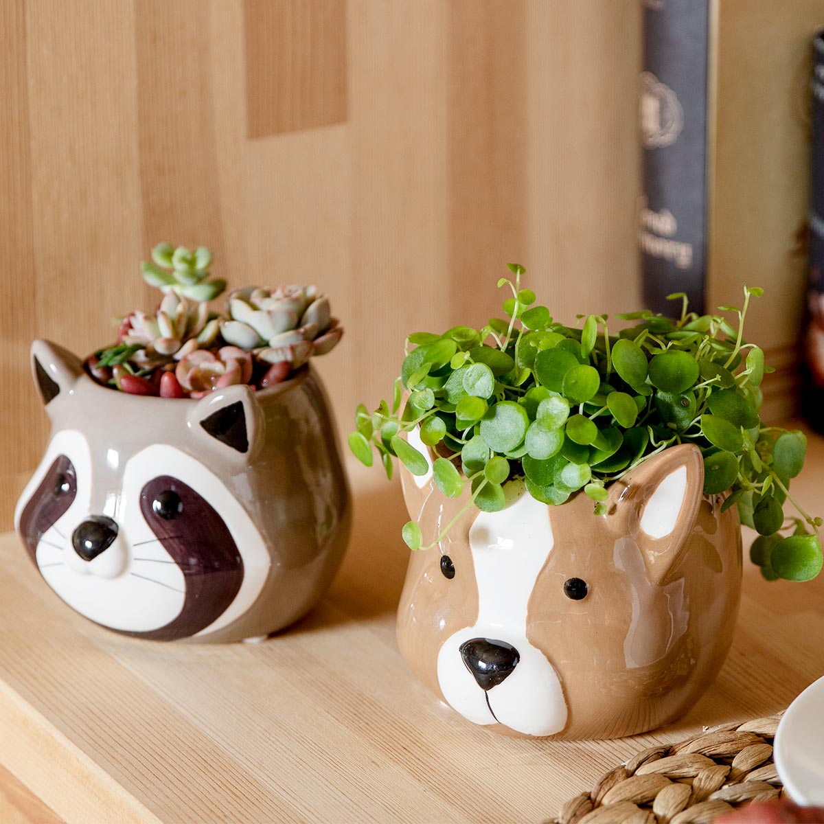 楽天市場】プランター アニマル ポット （ 植木鉢 プラントポット 陶器