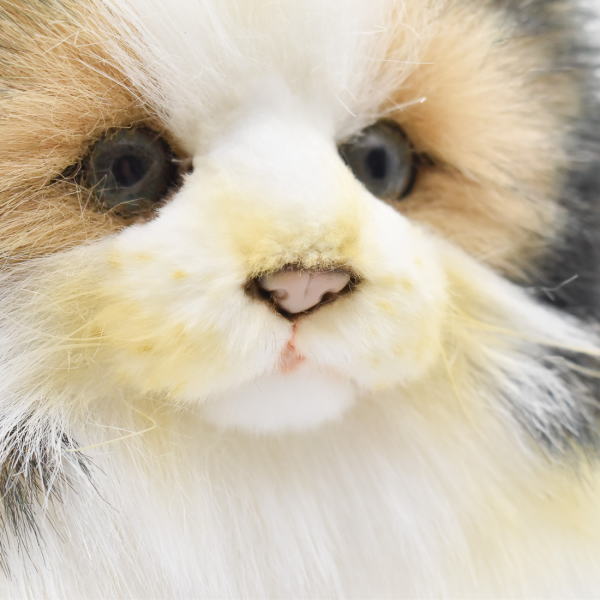 楽天市場】ハンサ【HANSA】ぬいぐるみ ノルウェージャン